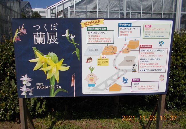 筑波実験植物園 クチコミ アクセス 営業時間 つくば フォートラベル 筑波実験植物園 クチコミ アクセス 営業時間 つくば フォートラベル