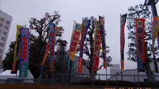 相撲ののぼりが沢山
