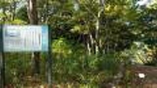 ニュータウンエリアの駅前ながら自然環境豊かな公園