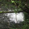 看板が目印です