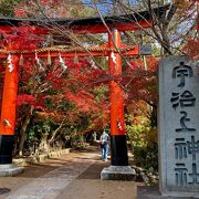 平等院の対岸に建っています