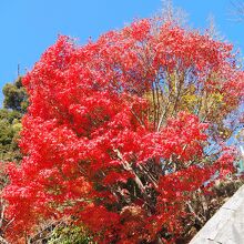 大門寺、紅葉もきれいなところです。