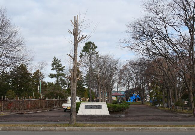 市内中心部にある公園です。