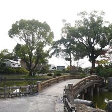 池の水はあんまりきれいではないが風流な池。
