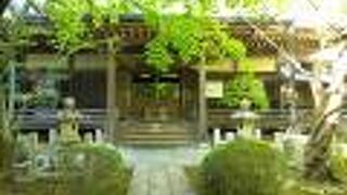 花の季節以外は寂しい