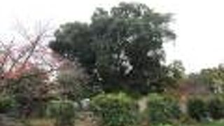 畑のド真ん中みたいなところにある。