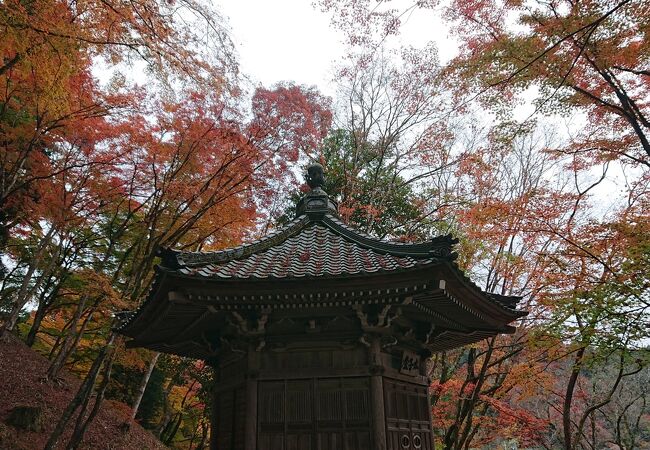 紅葉したもみじが、太子堂に彩りを添えていました