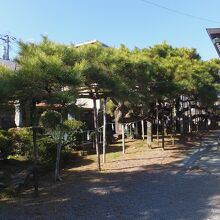 八坂神社