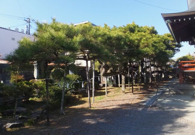 八坂神社