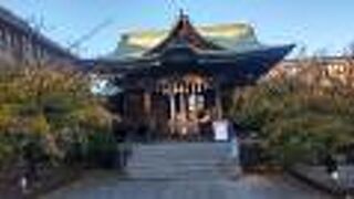 春は桜が見ごたえあるらしい