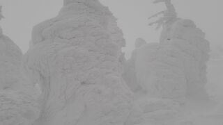 樹氷を見るならこのロープウェイで