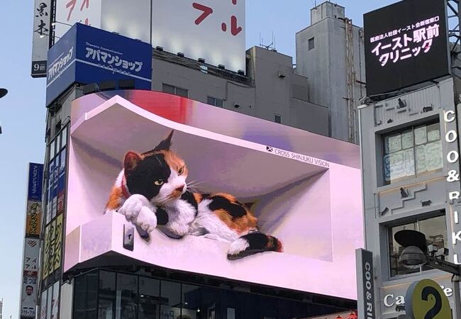 クロス新宿ビジョン 3d巨大猫 クチコミ アクセス 営業時間 新宿 フォートラベル