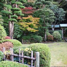 茶室「城山庵」の日本庭園