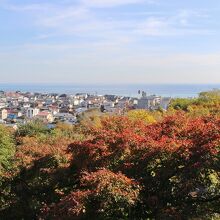 展望台から望む相模湾