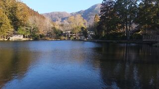 夕方は静かでした。