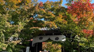 もみじの永観堂
