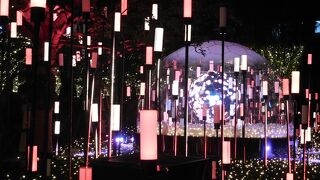 2022年は、巨大ドームと光の演出