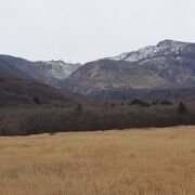 一面の草原。向こうには由布岳が。