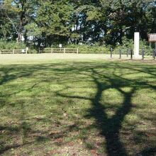 赤塚城の本丸跡は、平坦な広場になっています。家族連れが多い。