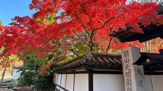 紅葉と池泉回遊式庭園が美しい塔頭