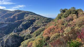 紅葉がきれい