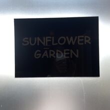 SUNFLOWER GARDEN 
