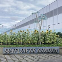 こんな感じですが…