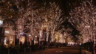 キラキラ輝く丸の内イルミネーション