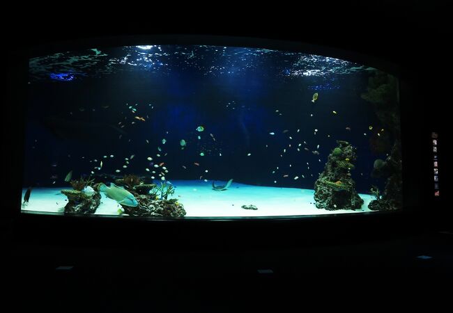 マリホ水族館