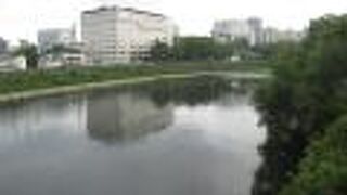 水の流れが穏やかです