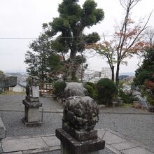 境内。けっこう古めかしい雰囲気。