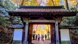 香嵐渓の香積寺　紅葉が輝く山門