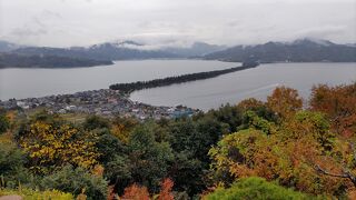 傘松公園の展望所から天橋立の絶景を楽しむ