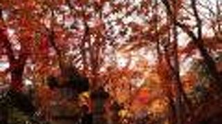 紅葉の撮影スポットが多い