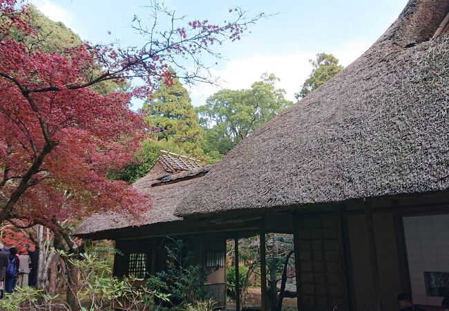 九年庵春の一般公開