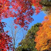 香嵐渓の飯森山　紅葉が素晴らしい！