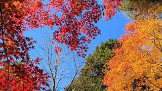 香嵐渓の飯森山　紅葉が素晴らしい！