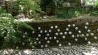 上まで行く必要なし