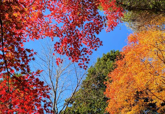 香嵐渓の飯森山　紅葉が素晴らしい！