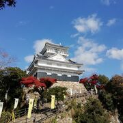 金華山の頂上