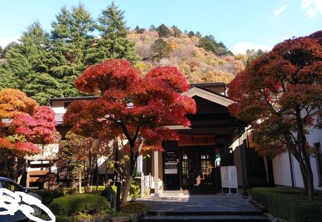 四万清流の湯