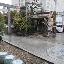 神社境内。写真奥にうつりこんでいるのが大丸。