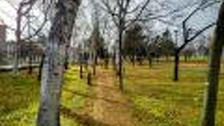 散歩にちょうどよい