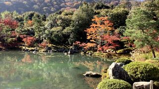 紅葉の庭園きれいです