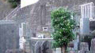 （再訪）信楽寺というお寺の墓地にあります