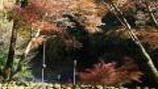 ここは混んでいませんでした