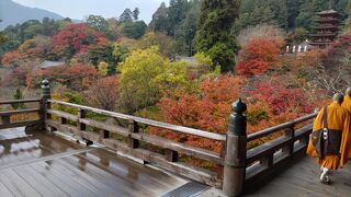 駅から離れています
