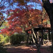 菅原道真が無実であることを訴えた天拝山の山麓に広がる公園です。