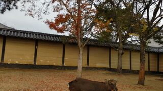  奈良市街の東一帯に広がる、総面積約660ヘクタールという広大な公園