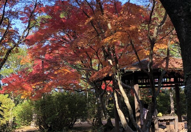 菅原道真が無実であることを訴えた天拝山の山麓に広がる公園です。